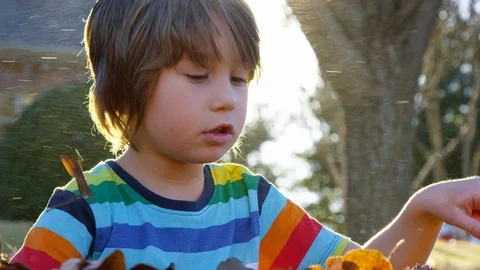 A boy plays with leaves while dust and leaves blow in the wind around him Stock Footage 93890817
