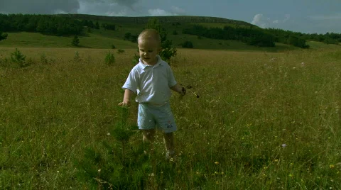 The boy plays near a pine Stock Footage 856026