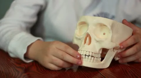 Boy plays with skull Stock Footage 21065454