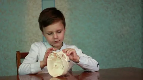 Boy plays with skull Stock Footage 21065584