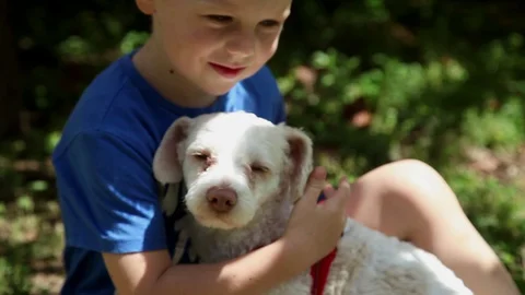 A boy plays with a small white dog. Stock Footage 129199968