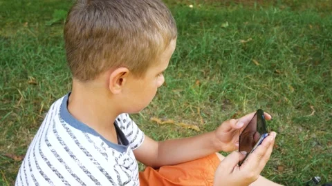 A boy plays on a smartphone, sitting on the grass in the park in the summer Stock Footage 219643205