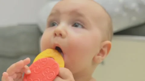 The boy plays with a soft toy on the floor Video stock 251579900
