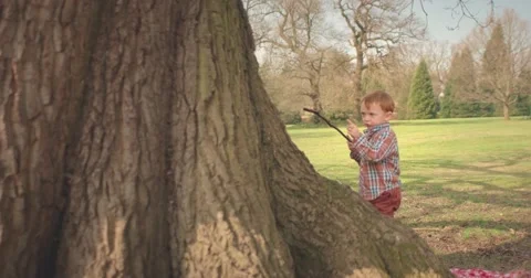 Boy plays with stick under tree Stock Footage 60793862