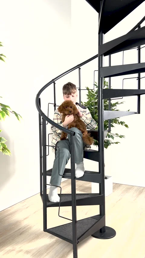 A boy plays with a toy poodle, symbolizing friendship between man and dog A toy Stock Footage 273137765