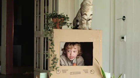 Boy plays TV presenter in a cardboard box TV with a cat sitting on it Video stock 308508385