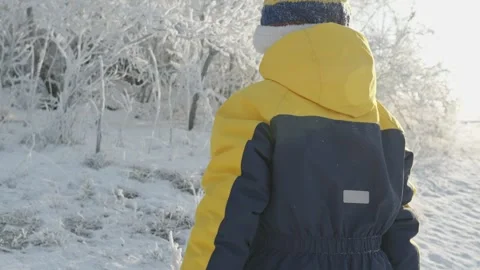 A boy plays in winter knocking snow from the trees on a sunny frosty day. Stock Footage 294348125