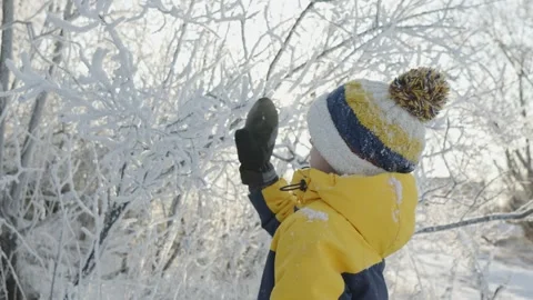 A boy plays in winter knocking snow from the trees on a sunny frosty day. Stock Footage 294348381