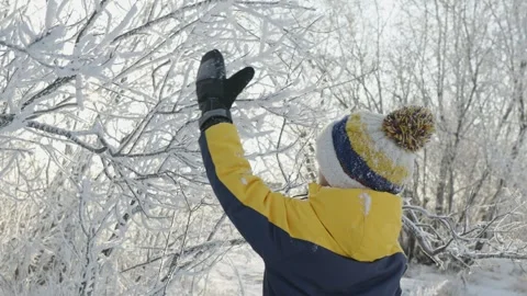 A boy plays in winter knocking snow from the trees on a sunny frosty day. Stock Footage 294348566