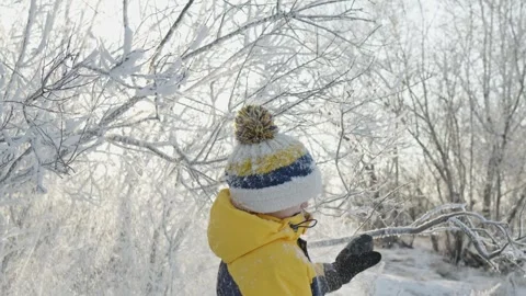 A boy plays in winter knocking snow from the trees on a sunny frosty day. Stock Footage 294348710