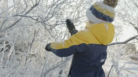A boy plays in winter knocking snow from the trees on a sunny frosty day. Stock Footage 294348887