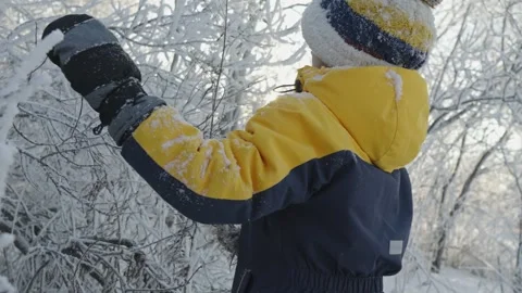 A boy plays in winter knocking snow from the trees on a sunny frosty day. Stock Footage 294349206