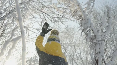 A boy plays in winter knocking snow from the trees on a sunny frosty day. Stock Footage 294349575