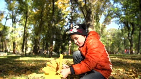 The boy plays with yellow leaves of a maple in autumn park Stock-Footage 56744111