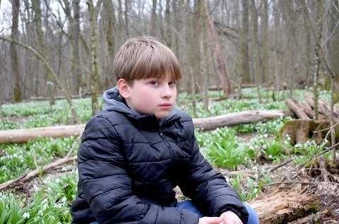 A boy poses while sitting on a tree trunk in the forest against a backdrop .. Stock Photos