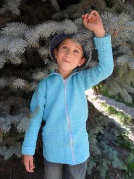 Boy posing near a pine in a blue sweater Stock Photos