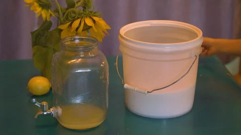 Boy Pouring Sugar into Fresh Squeezed Lemon Juice to make Lemonade Stock Footage 94396239