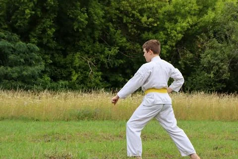 Boy practices karate in a grassy field surrounded by trees on a clear day 库存照片