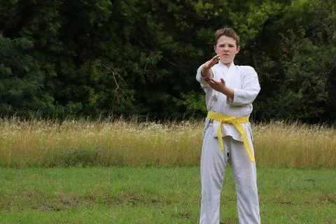 Boy practicing karate in a field during daylight with a focus on stance and Stock Photos