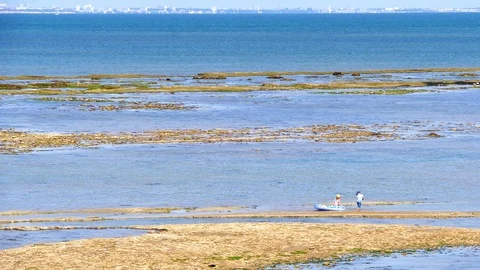Boy pulling a small boat with his sister in the beach. Stock Footage 120462240