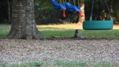 Boy Pulling Wagon In The Park Stock Footage 6452681