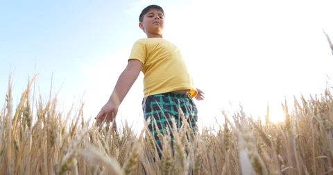 The boy pulls up his pants in the wheat field Stock Footage 91592977