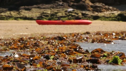 Boy pulls sea kayak into the ocean to go sailing Stock Footage 72561586