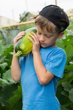Boy pumpkin in the hands of the great outdoors. Stock Photos