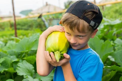 Boy pumpkin in the hands Stock Photos