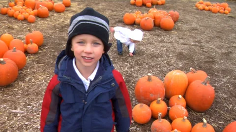 Boy at pumpkin patch 库存影片 32706231
