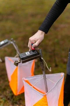 A boy punching at the orienteering control point Фото