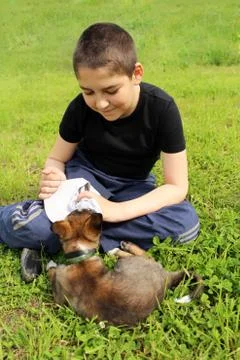 Boy with the puppy. Foto stock