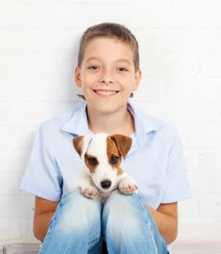 Boy with puppy Stock Photos
