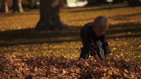 Boy Pushes Leave Onto a Pile Stock-Footage 50299454