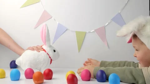 Boy in rabbit ears on head play with cute toy bunny Stock-Footage 148865802