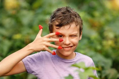 Boy with rasperries on the fingers Stock Photos