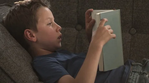 Boy reading book on the couch Stock Footage 78874401