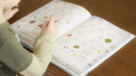 Boy reading a book Stock Footage 61641512