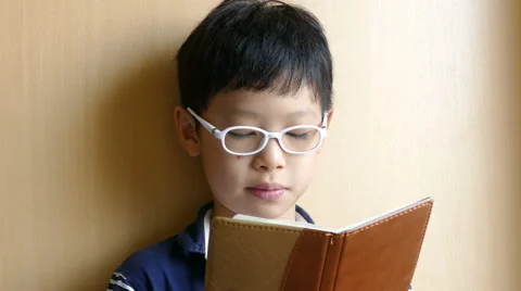 Boy reading book Stock Footage 63654312