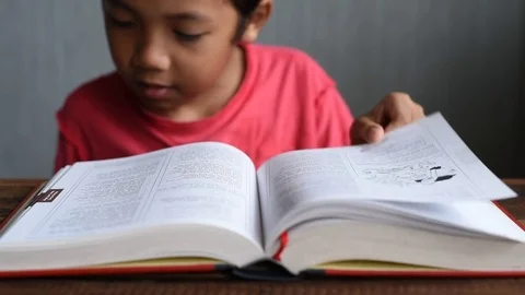 Boy reading  a book Stock Footage 83853949