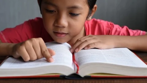 Boy reading  a book Stock Footage 83853971