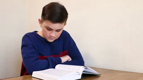 Boy reading a book Stock Footage 87402025