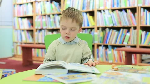 Boy reading a book Stock Footage 211093764