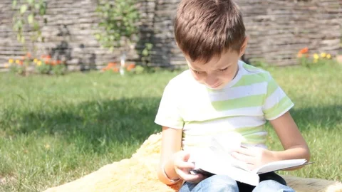 The boy is reading a book on the grass Stock Footage 80462556