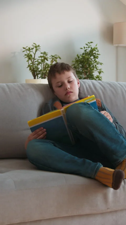 Boy Reading Book on Sofa Stock Footage 335485838
