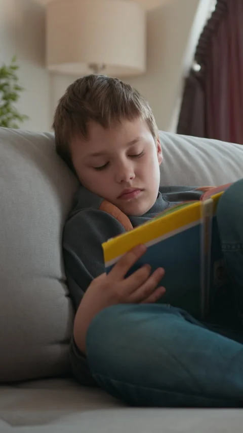 Boy Reading Book on Sofa Stock Footage 335486138