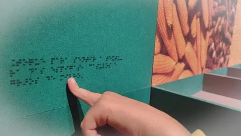 A boy reading the evacuation plan on the wall in braille. Close-up of a child Stock Photos