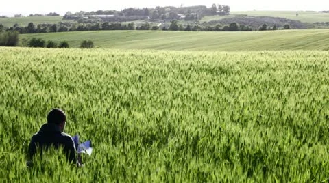 A boy reading in a field of wheat Stock Footage 11115845