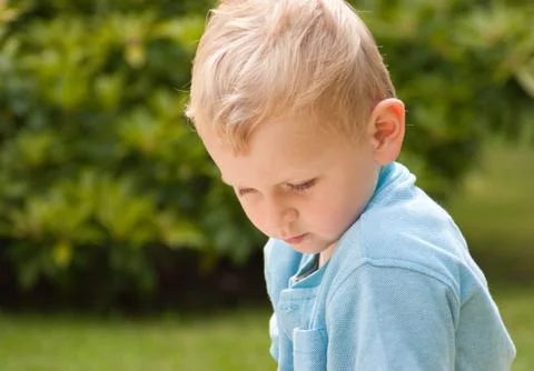 Boy reading in a garden Stock Photos