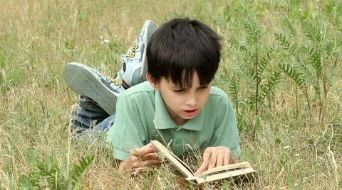  boy reads  book Video stock 850338